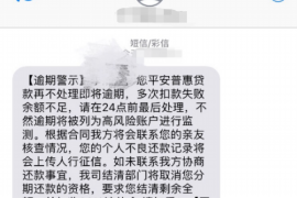 定西要债公司哪里找？专业机构助您高效追回欠款